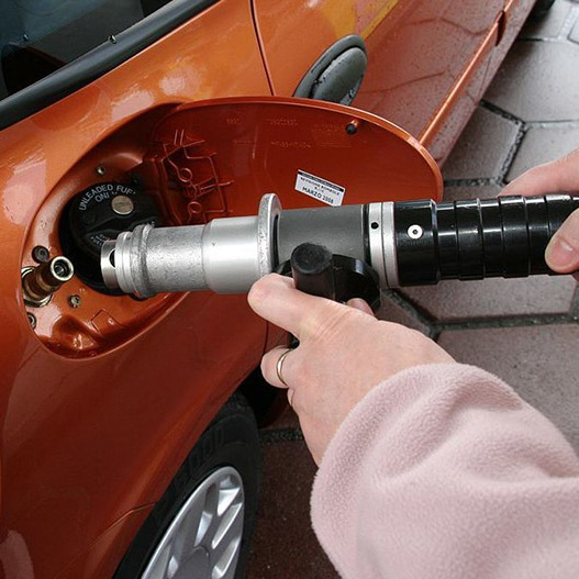 CC/Wikimedia Commons